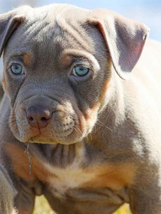 Post sem título 1672