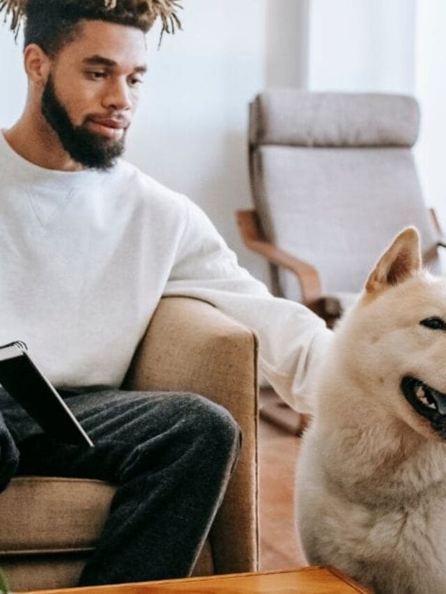 O Cachorro Mais Caro do Mundo: Qual Raça Custa uma Fortuna?