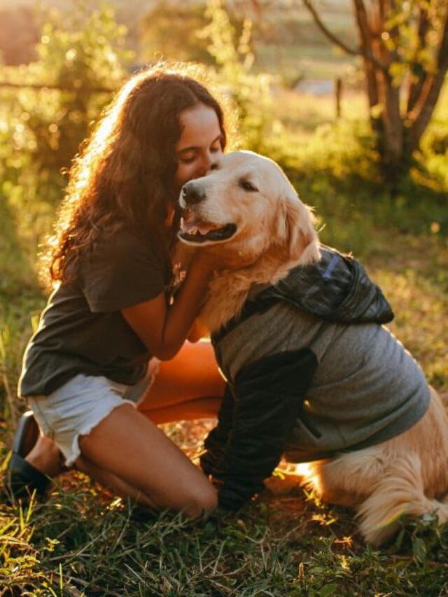 Cachorras: personalidade, Cuidados e Curiosidades