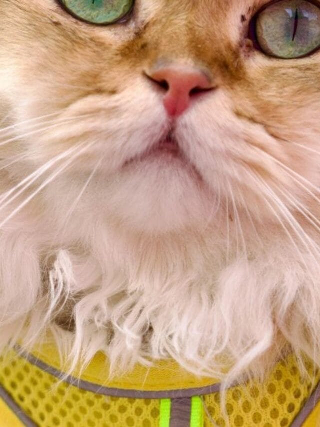 Post sem título 2572